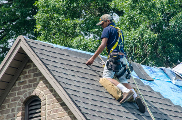 Best Local Roofing Companies  in Bowling Green, MO