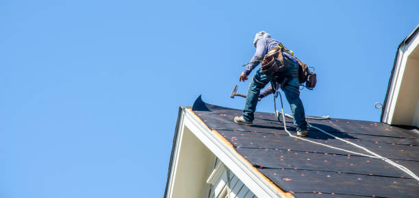 Best Roof Gutter Cleaning  in Bowling Green, MO